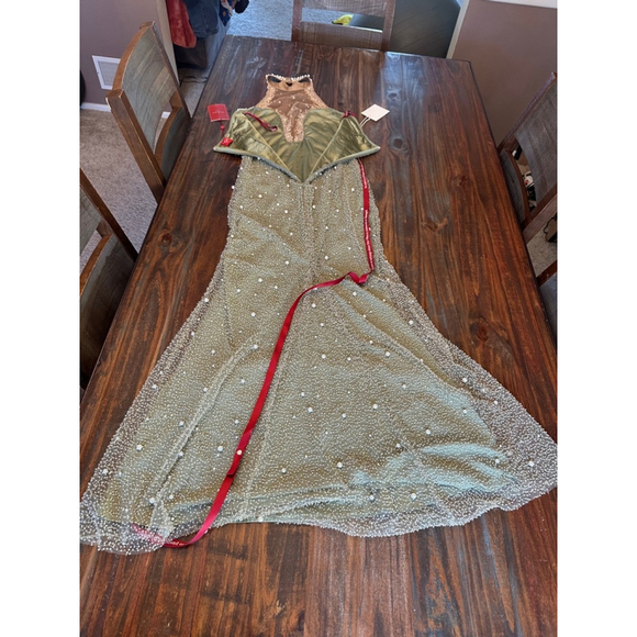 Miss Circle Sage Green Gown Small 4-6 Prom Formal - Picture 6 of 12